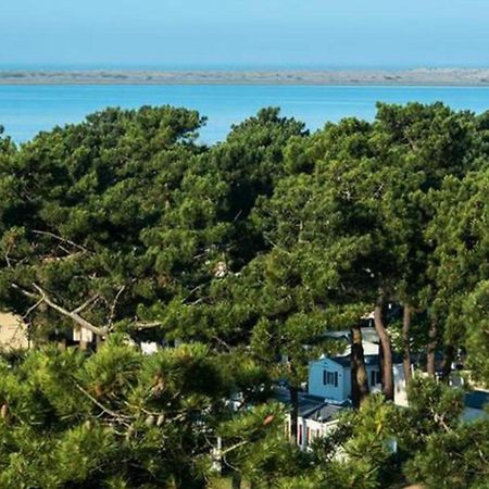 ホテル Camping La Palmyre レ・マトゥ エクステリア 写真