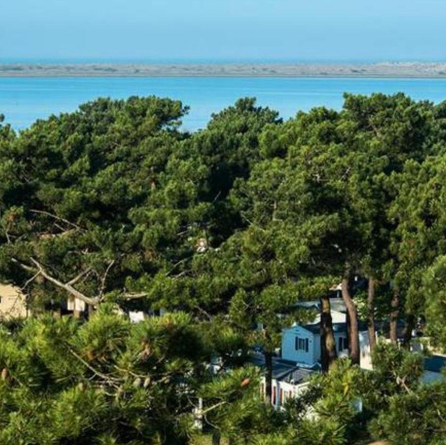 ホテル Camping La Palmyre レ・マトゥ エクステリア 写真